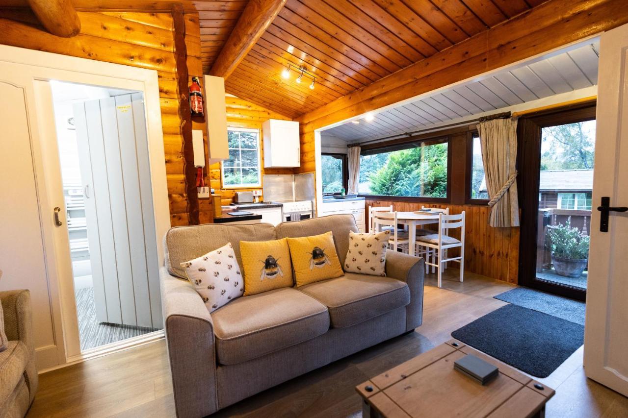Mountain View Log Cabin In Snowdonia Nr Coed Y Brenin Tanygrisiau Exterior photo